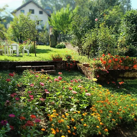 Gracia Villa *